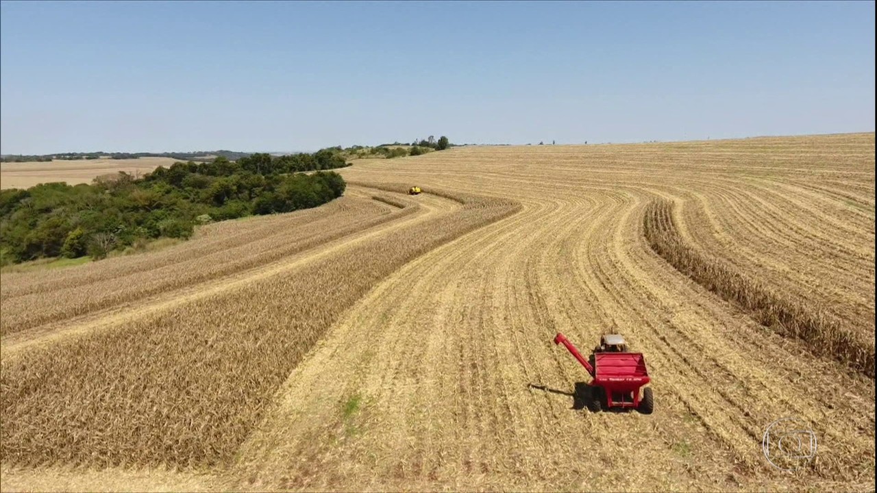 Agricultores do Centro-Sul do país já vendem a soja que só será colhida em 2021 e 2022