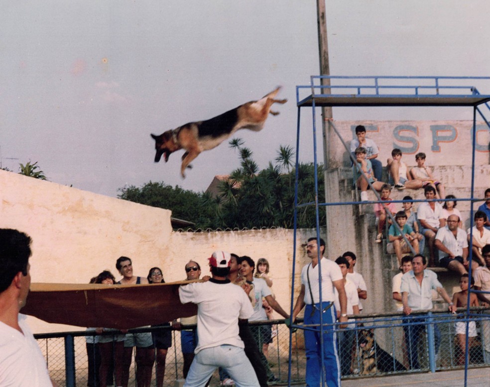 Paraquedas era uma das apresentações antigas do Canil — Foto: Arquivo pessoal/Josué Oliveira Barros