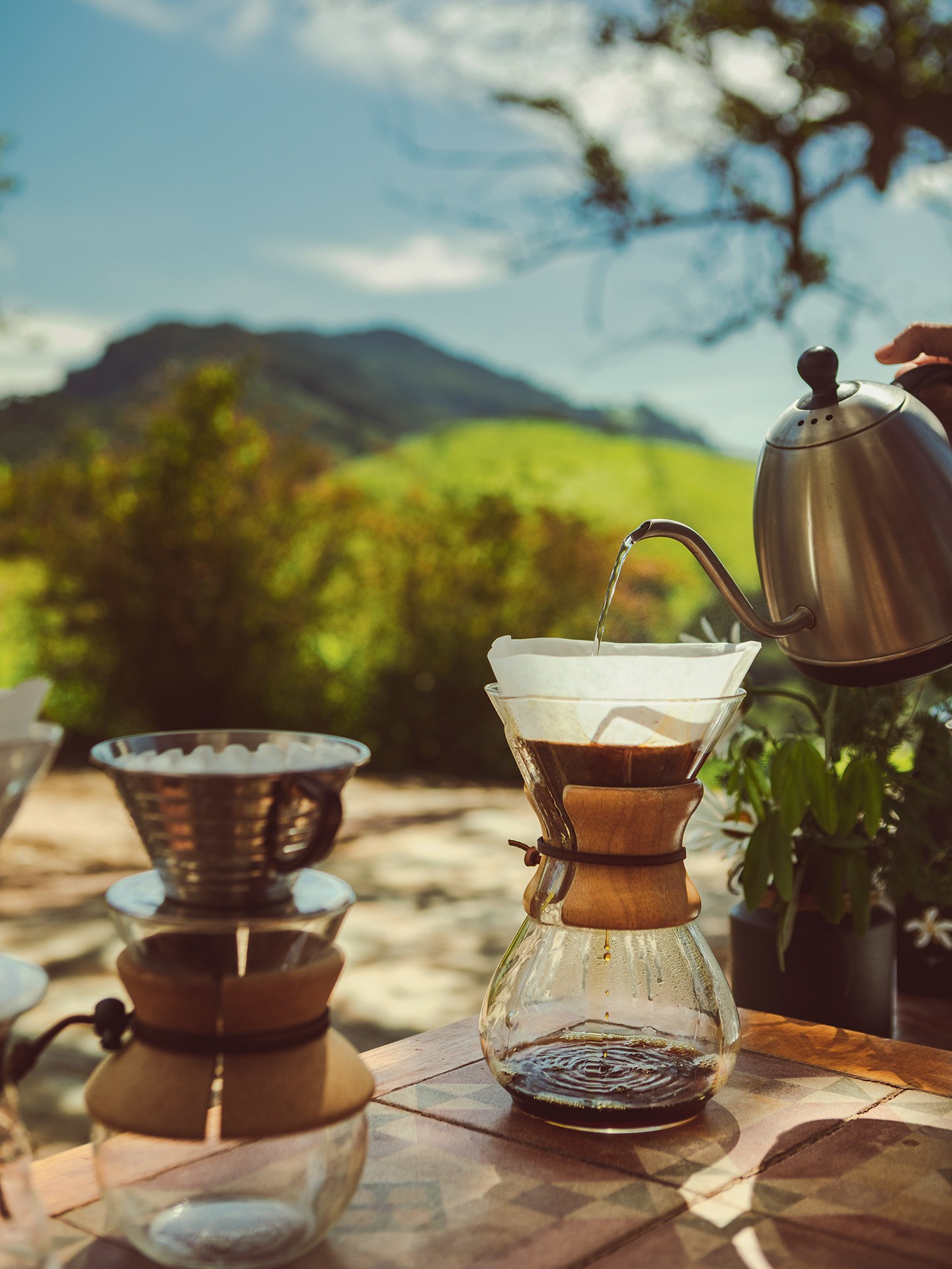 De grão em grão: como os novos cafeicultores transformam o plantio da bebida (Foto: Gui Gomes)
