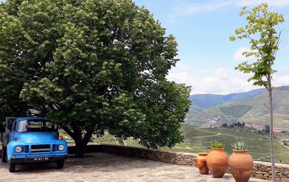 Quinta da Côrte, no Vale do Douro: simplicidade e segurança para novos tempos de turismo em Portugal