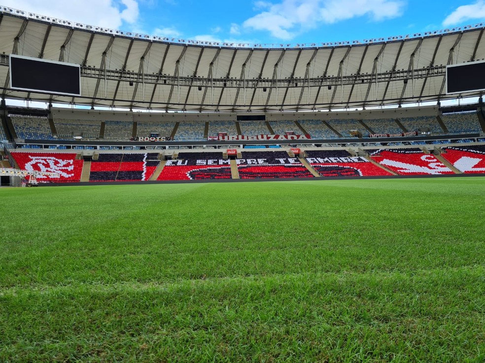 Gramado do Maracanã para Flamengo x América-MG — Foto: Divulgação