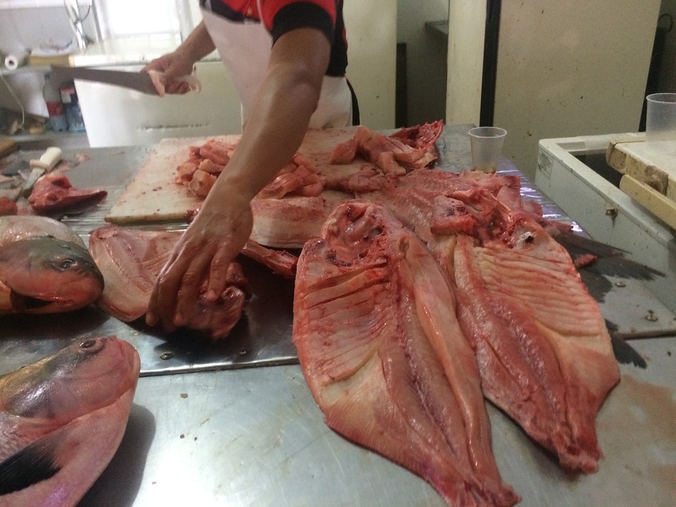Quilo de peixe tambaqui custa R$ 5,00 em Porto Velho (Foto: Hosana Morais)