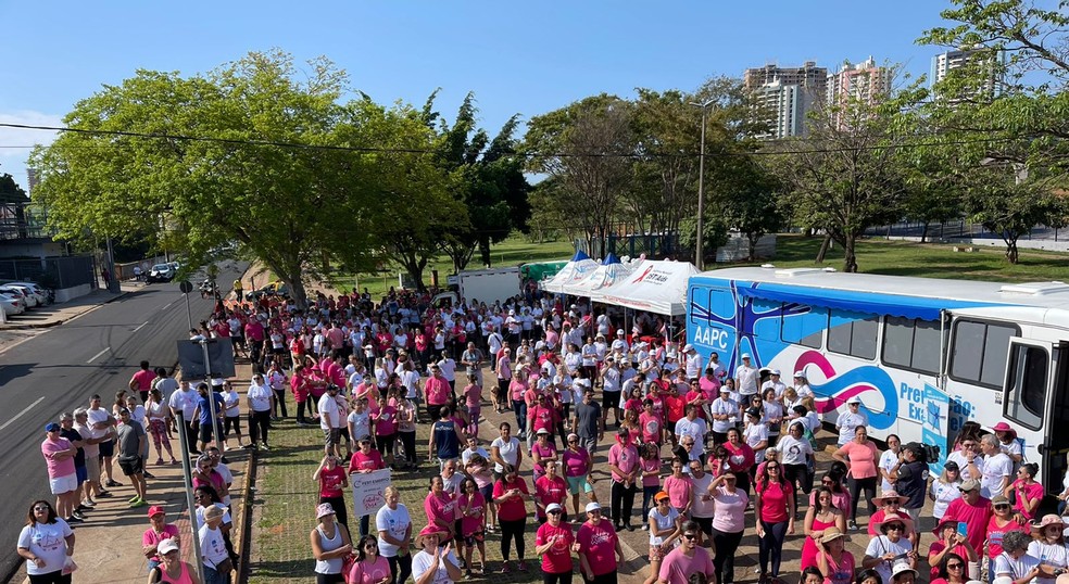 Caminhada Rosa reúne mais de 500 pessoas no Parque do Povo, em Presidente Prudente (SP) — Foto: Cedida