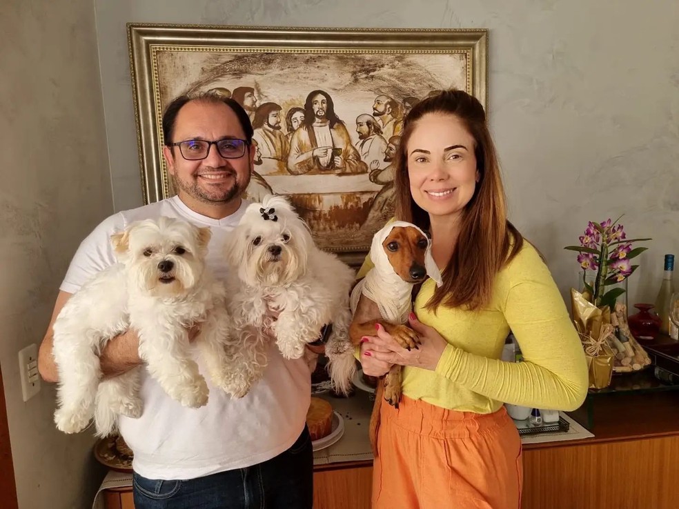 Bento foi adotado por uma família da capital Paulista, que acompanhou sua história pelas redes sociais.  — Foto: Arquivo pessoal