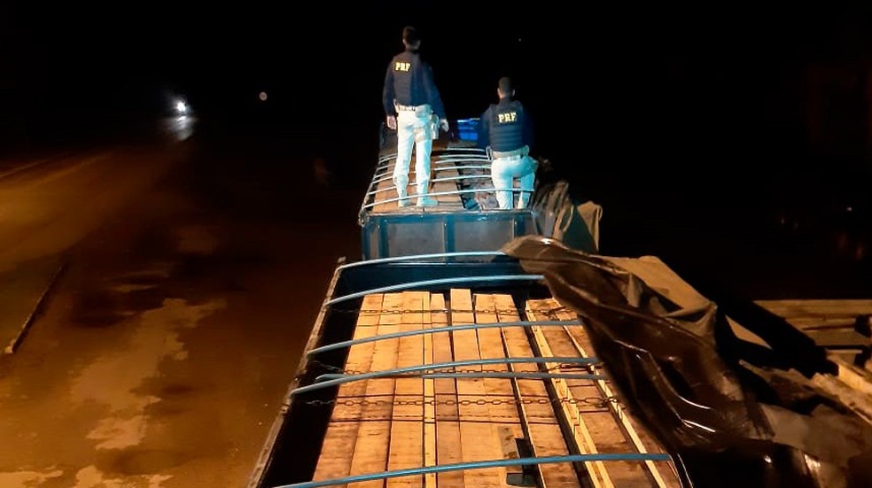Duas apreensões foram feitas em menos de 24 horas na BR-364 em Rondônia.  — Foto: Divulgação/PRF