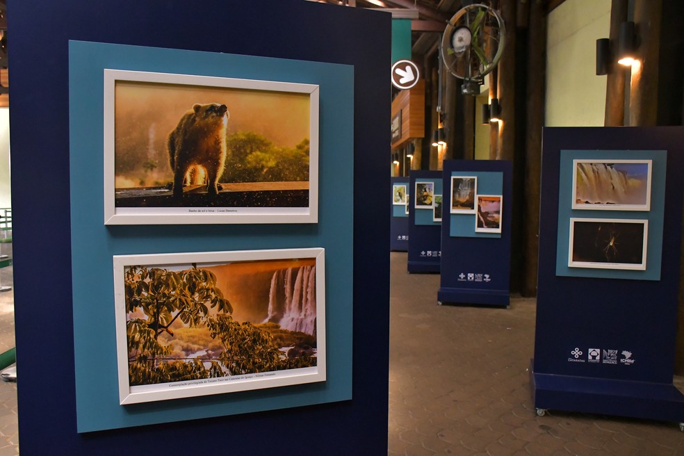 Exposição fotográfica Belezas do Parque está no Centro de Visitantes — Foto: Alexandro Soto/Cataratas S.A.