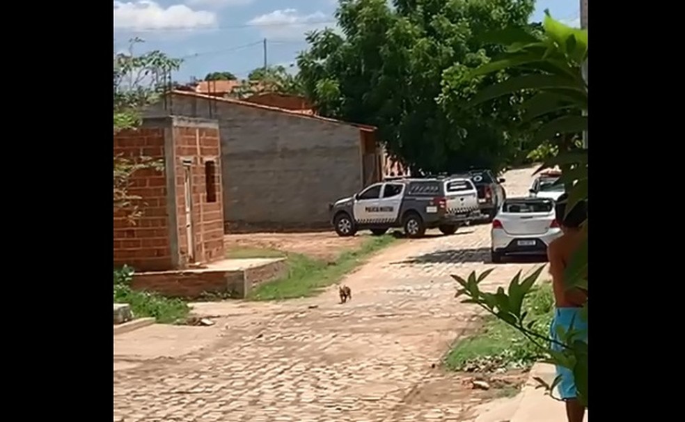 Caso aconteceu em Upanema, no interior do RN &mdash; Foto: Reprodu&ccedil;&atilde;o/Redes sociais