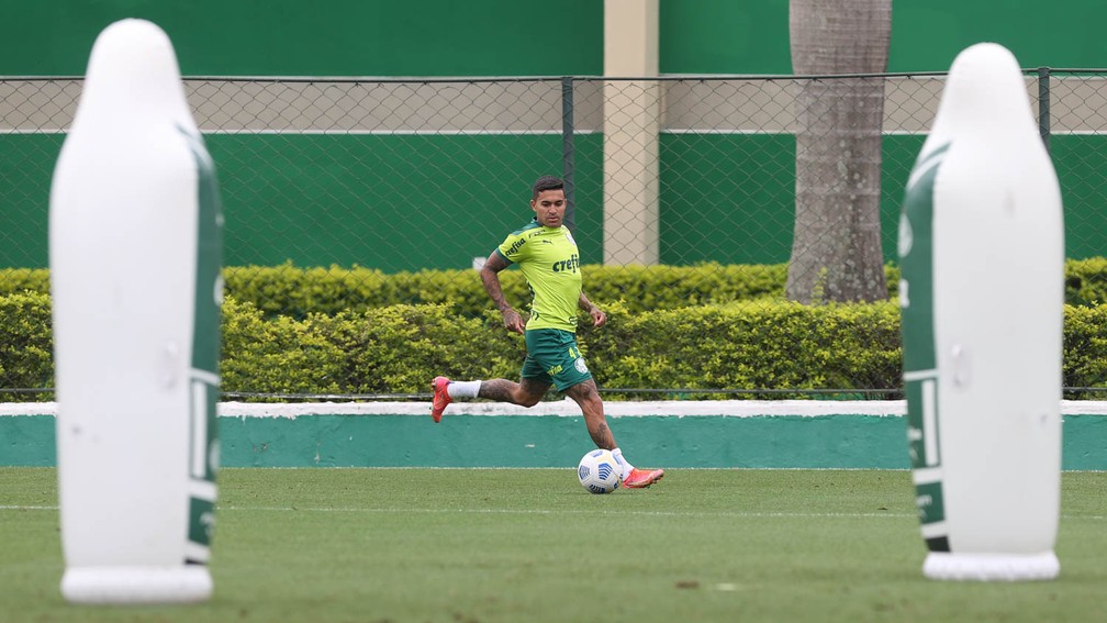 Dudu embala no time titular e tenta liderar Palmeiras rumo à final da Libertadores