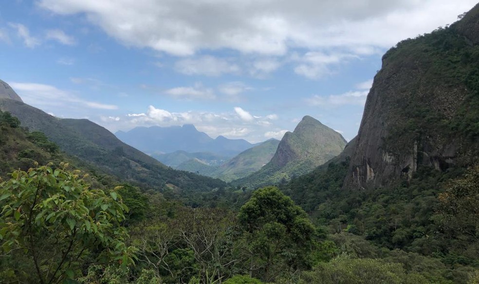 Mata Atlântica no Parque Nacional da Serra dos Órgãos, em Petrópolis, no Rio de Janeiro. — Foto: Patrícia Figueiredo/G1