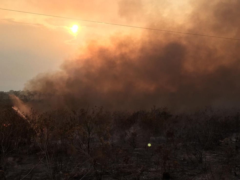 Incêndio em Pimenta Bueno, Rondônia, Setembro de 2020 — Foto: Corpo de Bombeiros/Divulgação