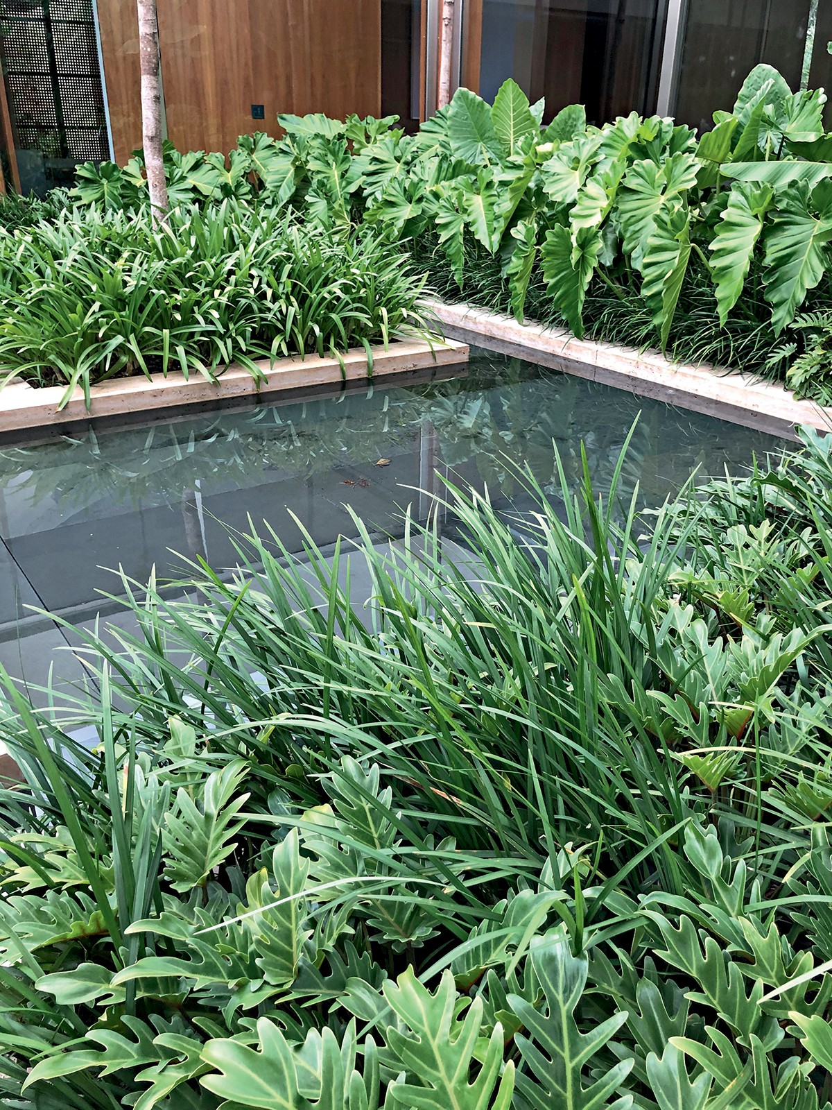 O extenso espelho d’água de ardósia preta permeia todo o jardim (Foto: Divulgação)