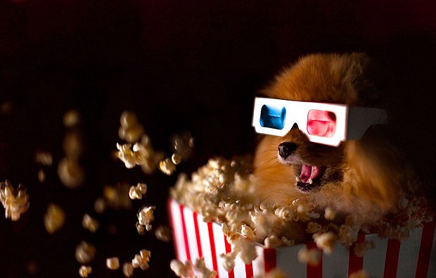 Algumas imagens têm o cachorro em atividades humanas, como no cinema (Foto: Robin Yu/Divulgação)