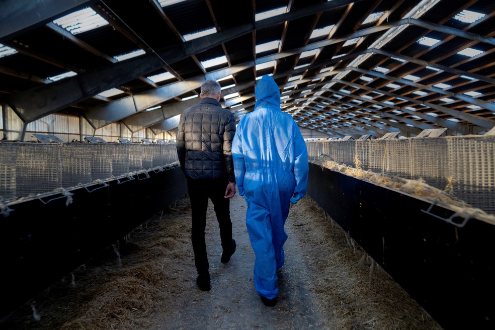 Com aparato de proteção, primeira-ministra da Dinamarca, Mette Frederiksen, (à direita) visita fazenda de visons em Kolding nesta quinta-feira (26) — Foto:  Mads Nissen/Ritzau Scanpix/via Reuters