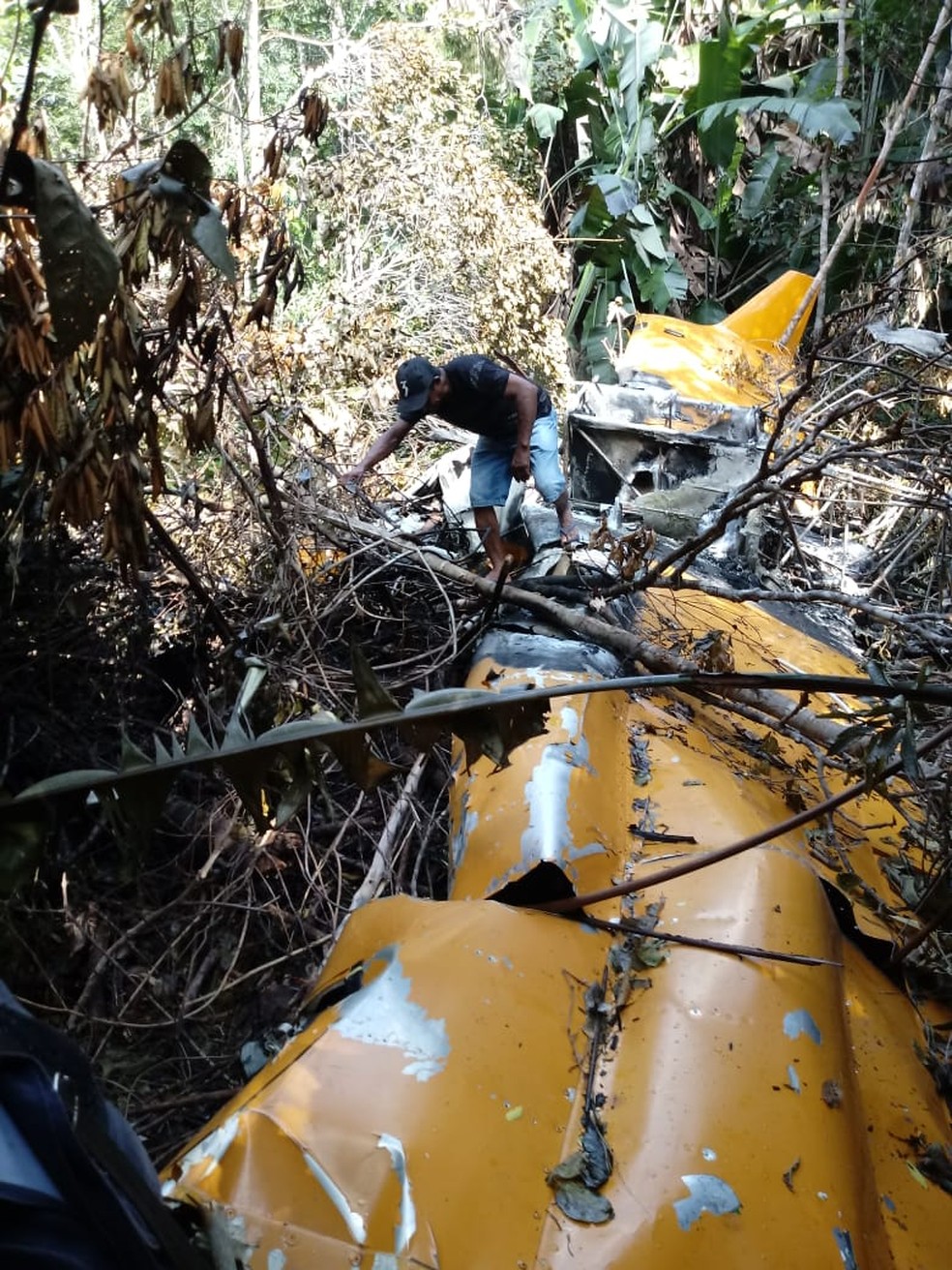 Avião agrícola caiu em área de mata em Peixoto de Azevedo — Foto: Polícia Militar de Mato Grosso/Divulgação