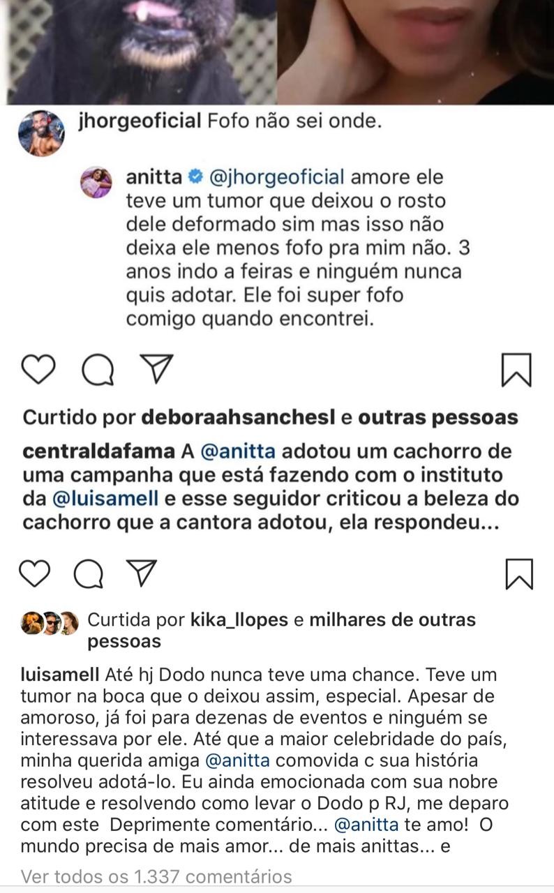 Anitta responde seguidor que falou da aparência física de seu novo cão e Luisa Mell defende a amiga (Foto: Reprodução/Instagram)
