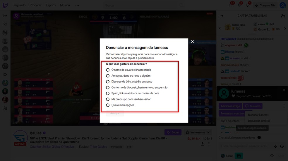 Selecione o que gostaria de denuncia sobre o usuário na Twitch e clique em "Avançar" — Foto: Reprodução/Leandro Eduardo