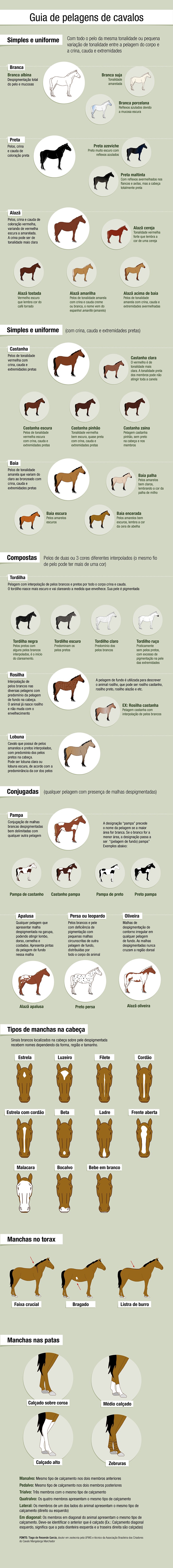 guia-pelagens-cavalo-infografico (Foto: Filipe Borin/Ed. Globo)