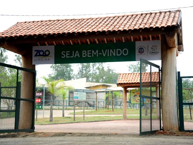Zoológico de Piracicaba (Foto: Prefeitura de Limeira)