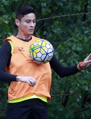 Diogo Barbosa Botafogo (Foto: Vítor Silva/SSPress/Botafogo)