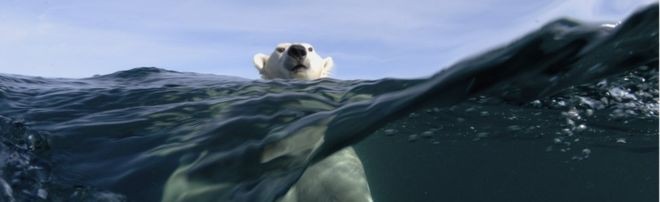 As geleiras do mar Ártico diminuíram nos últimos anos (Foto: Getty Images via BBC News Brasil)