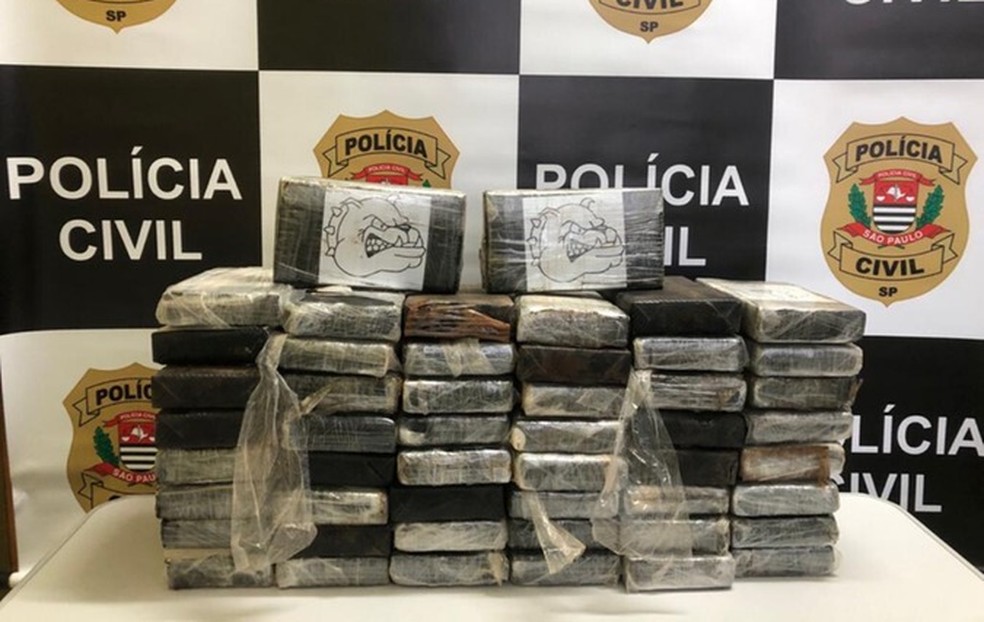 Coca&iacute;na estava escondida em fundo falso do caminh&atilde;o que o suspeito conduzia &mdash; Foto: Divulga&ccedil;&atilde;o/Pol&iacute;cia Civil