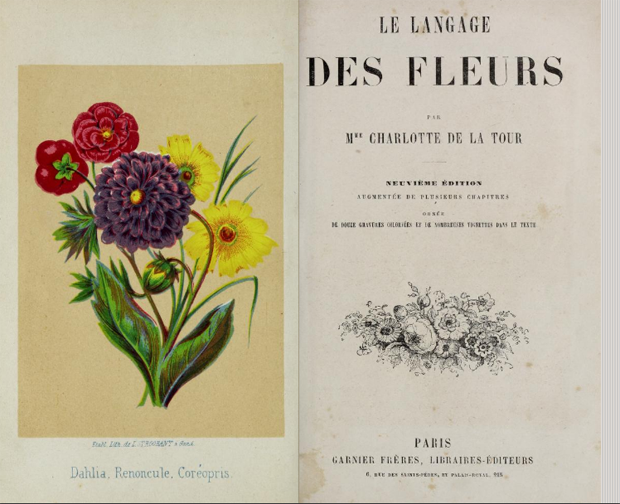 Floriografia, a linguagem das flores e seus significados (Foto: POR FLO ATELIER BOTÂNICO)