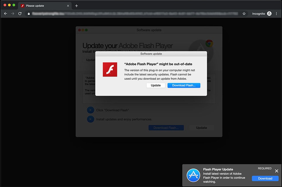 download adobe flash player for free latest version