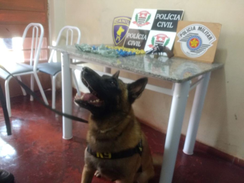 Se não fossem encontradas pelos cães, drogas ainda poderiam estar nas ruas (Foto: Polícia Militar/Cedida)