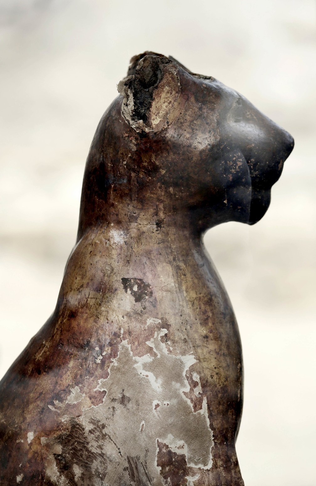 Estátua de gato feita de bronze em exposição na necrópole. — Foto: Nariman El-Mofty/AP