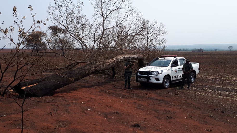 Usina sucroalcooleira foi multada em mais de R$ 1,1 milhão por uso de fogo em vegetação nativa e árvores — Foto: Polícia Ambiental