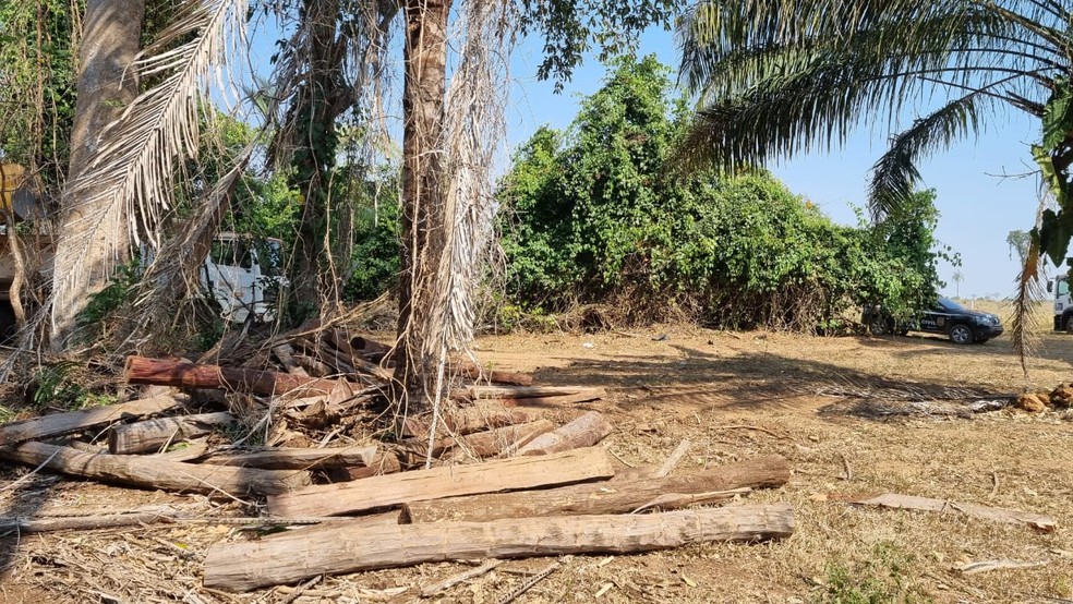 Além do carregamento, palanques estavam espalhados pelo local.  — Foto: Gefron/Cedida