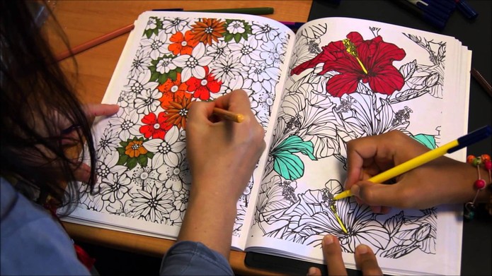 Livros de colorir fazem sucesso entre os adultos (Foto: Reprodução/YouTube)