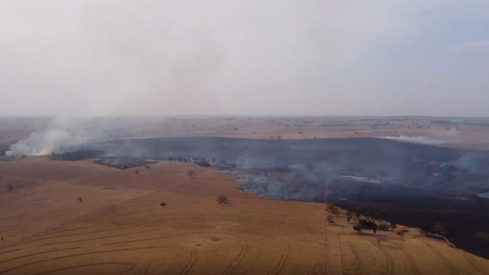 Incêndio em vegetação mobiliza Corpo de Bombeiros em Presidente Venceslau — Foto: Reprodução/Henrique Rainho 