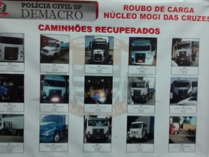 15 dos 16 caminhões apreendidos durante a operação (Foto: Maiara Barbosa/G1)