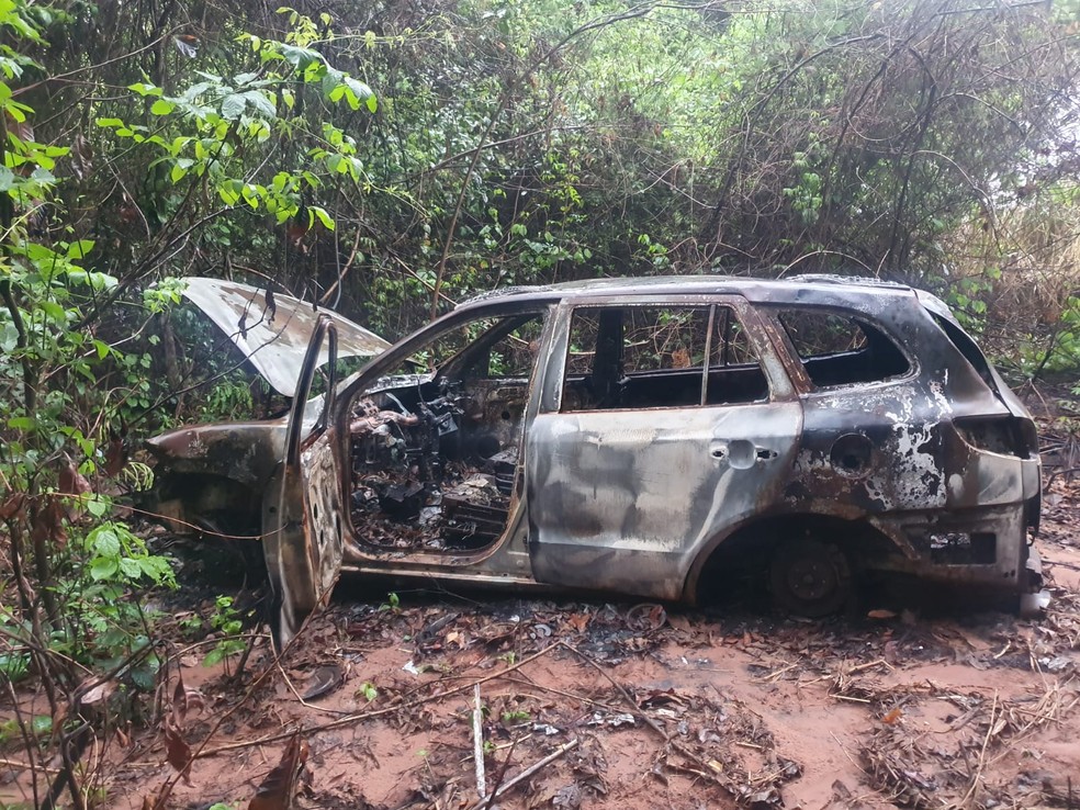 Carro roubado foi encontrado queimado em Rio Preto (SP) — Foto: Polícia Civil/Divulgação