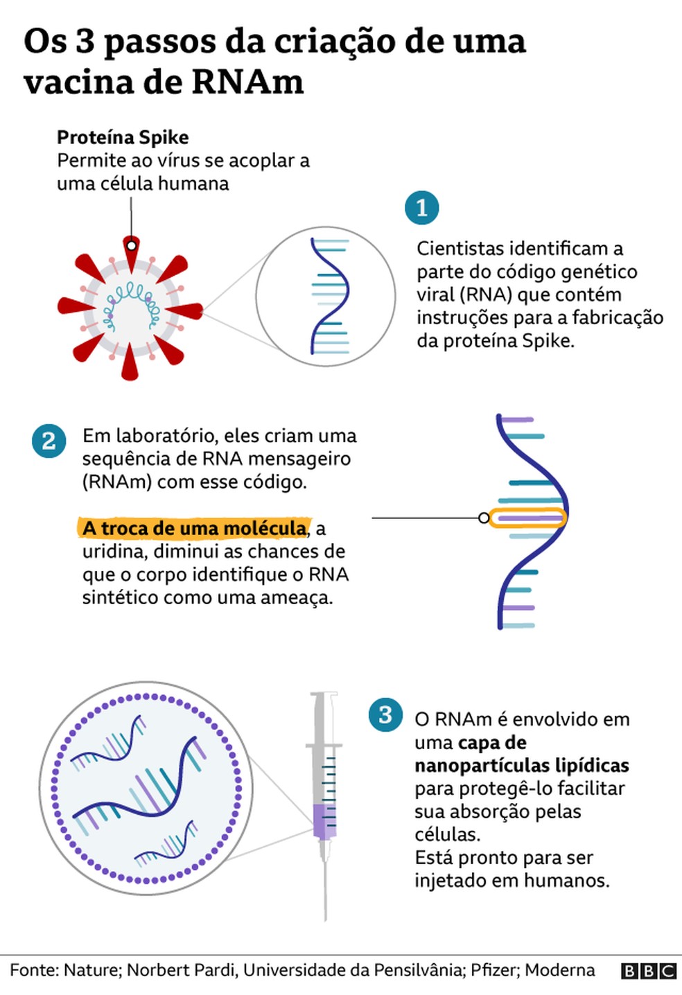 Covid-19: os três passos do método revolucionário para criar vacinas de RNA  | Vacina | G1