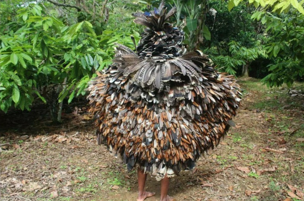 Cacique Babau vestido com manto tupinambá na aldeia da Serra do Padeiro, no sul da Bahia — Foto: Glicéria Tupinambá/Cortesia