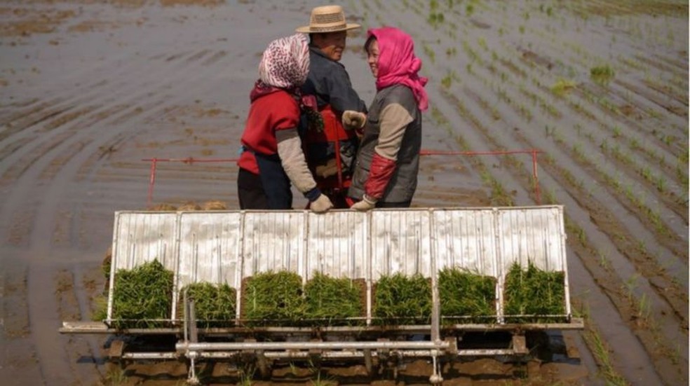 País está familiarizado com a escassez crônica de alimentos — Foto: GETTY IMAGES