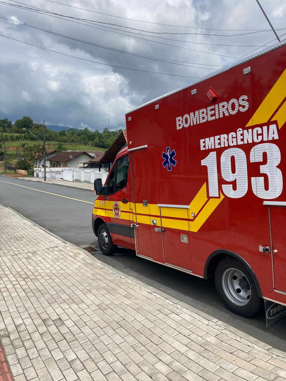 Idoso limpava terreno quando se deparou com os animais  — Foto: Corpo de Bombeiros/Divulgação
