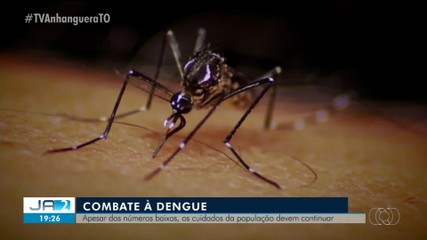 Casos de dengue reduzem em 85% no Tocantins em 2023