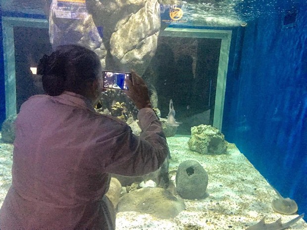 Dona Mercedes, mãe de Ricardo Boechat, visita tubarão que ganhou nome do filho (Foto: Reprodução/Instagram)