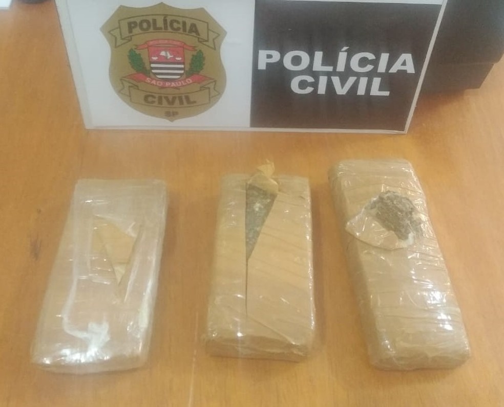 Tabletes de maconha estava escondidos em encomenda entregue pelos Correios — Foto: Polícia Civil