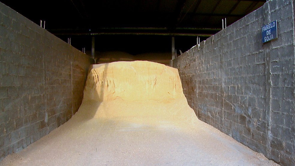 Fazenda tem menos da metade de ração para animais (Foto: Wilson Aiello/EPTV)