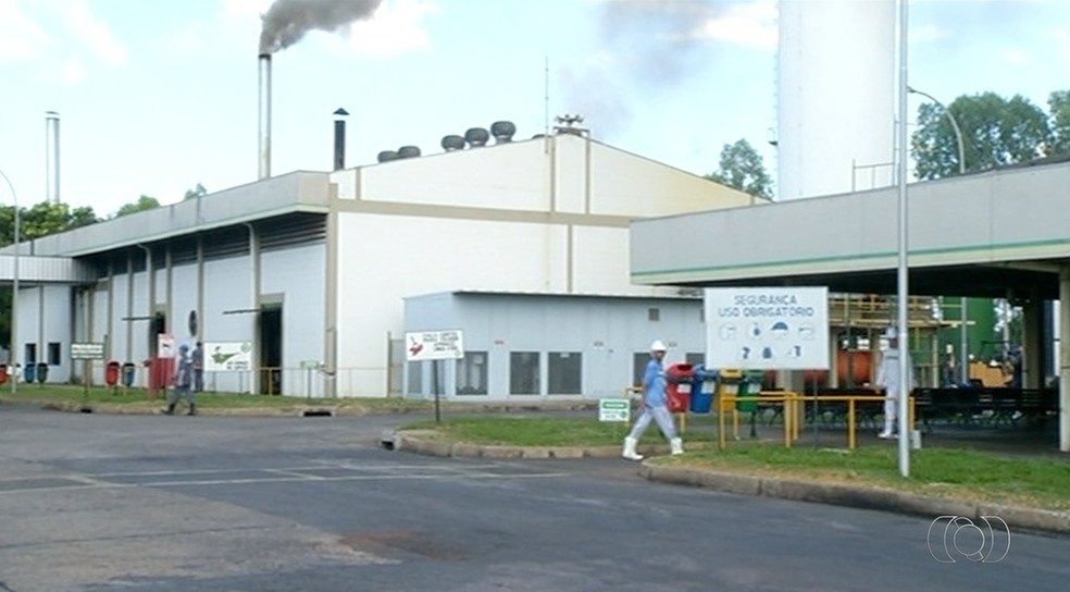 Frigoríficos tiveram que paralisar produção no Tocantins (Foto: Reprodução/TV Anhanguera)