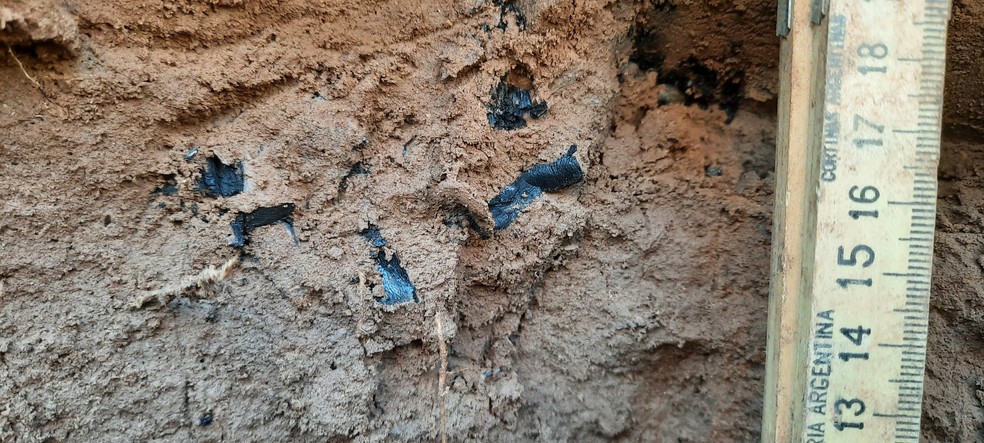Carvão  encontrado em escavações feitas pelos arqueólogos  — Foto: Centro de Investigações Cientificas Argentinas e Universidade Nacional da Prata