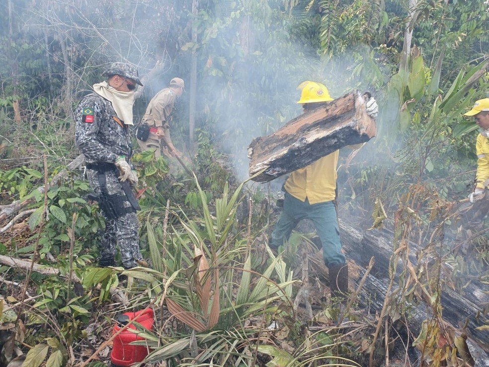 Equipes tentam controlar queimadas na vegetação de reserva em RO — Foto: 17ª Brigada/Divulgação