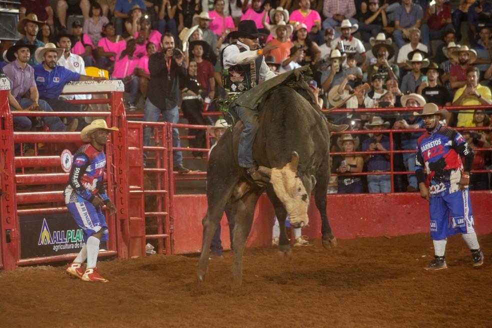 Peão de Cassilândia conquista campeonato de rodeio nos Estados Unidos . —  Iviagora - Portal de Notícias de Ivinhema