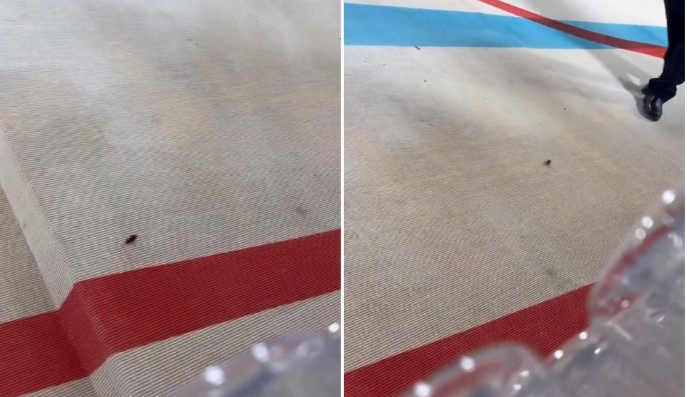 Barata passa pelo tapete vermelho do Met Gala 2023 — Foto: Reprodução/Instagram