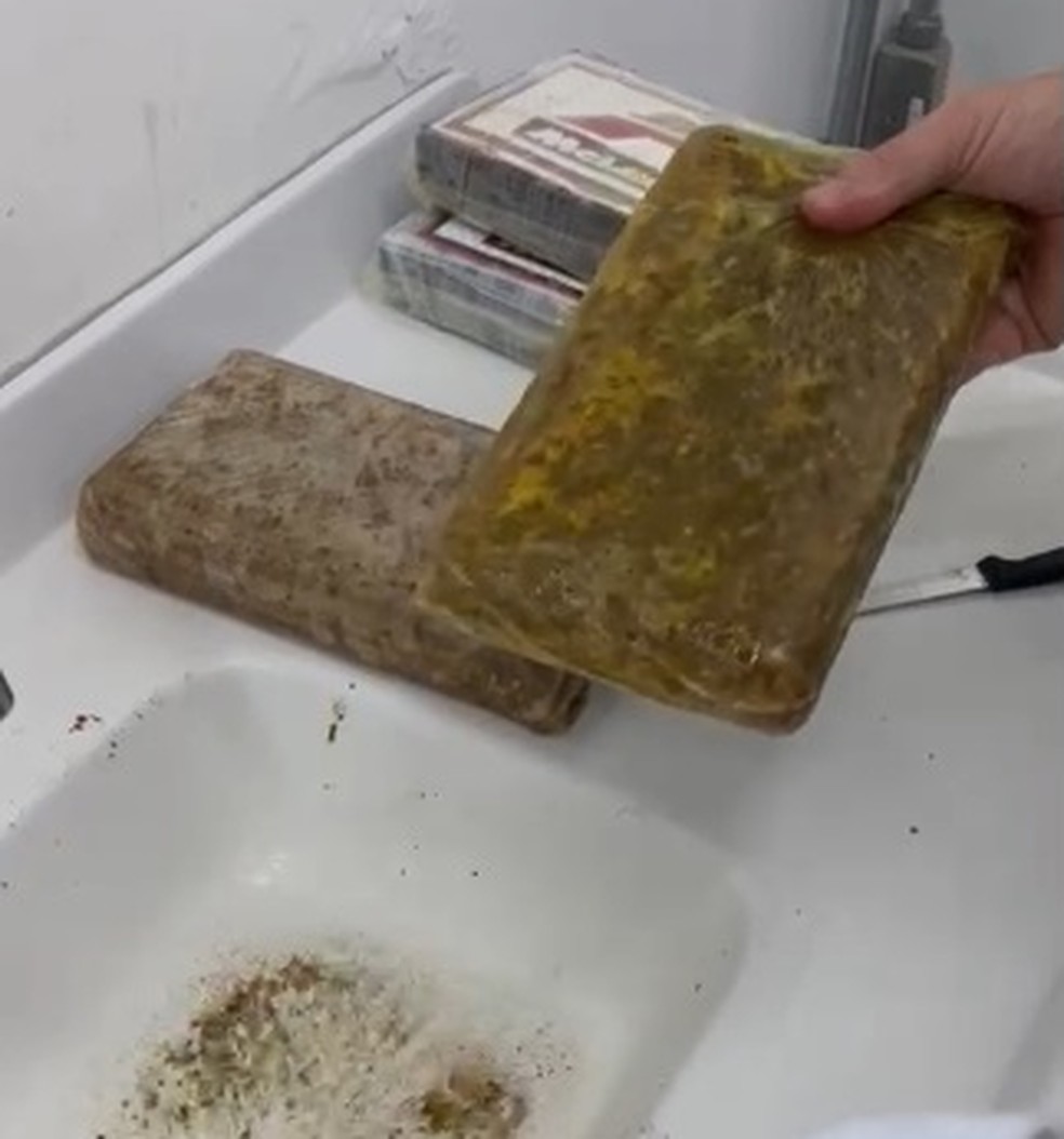 Cocaína apreendida estava embalada com molho chimichurri — Foto: Dise/Divulgação