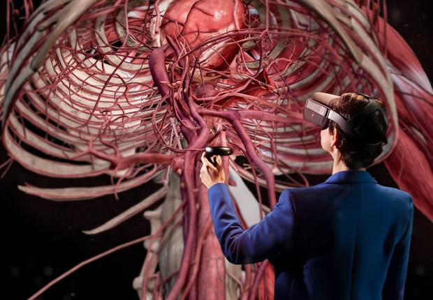 The virtual human anatomy laboratory offers a realistic view of the human body.